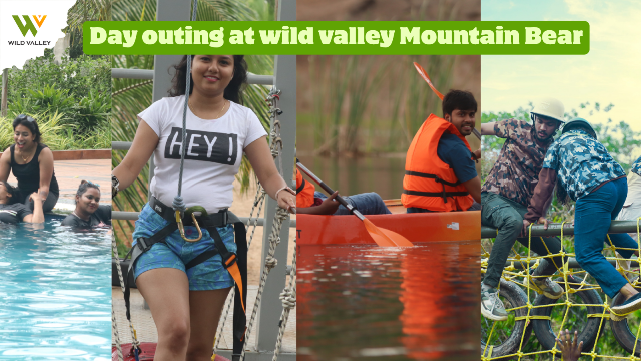 Wild Valley Mountain Bear